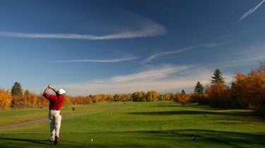 All the time take observe swings from behind your ball. Right here's why