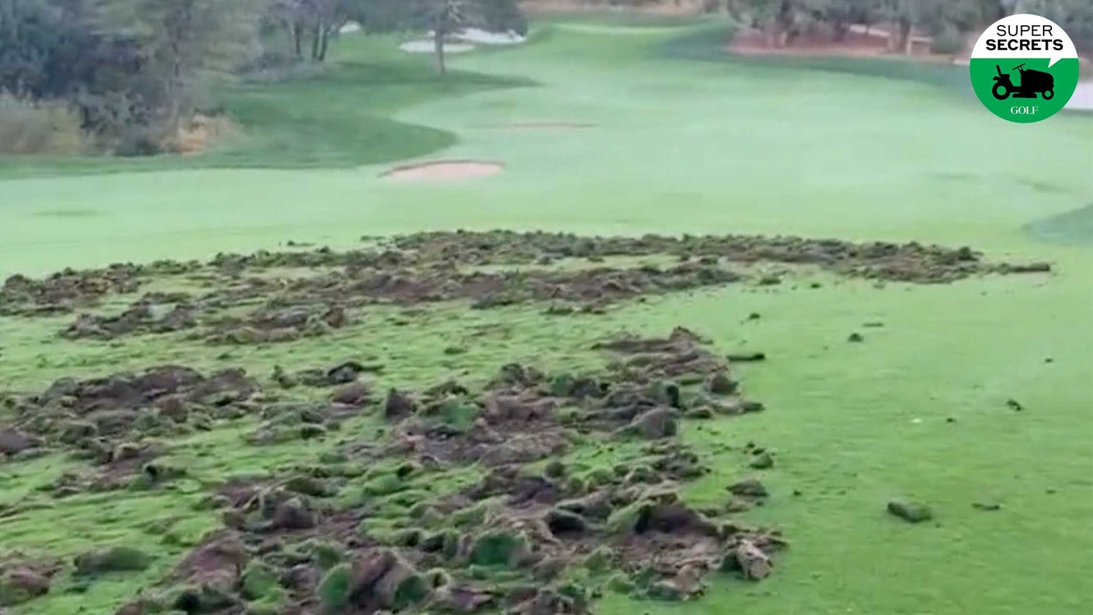 This stunning golf-course harm went viral. However there's extra to the story