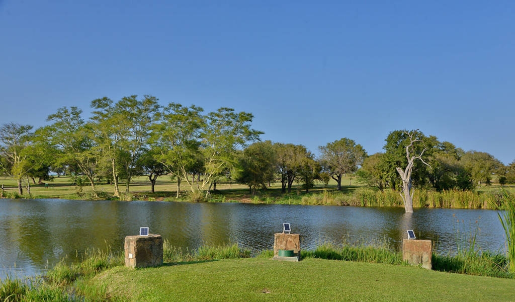 WATCH: Skukuza Golf Membership proves worthy of its tagline of the wildest course on this planet