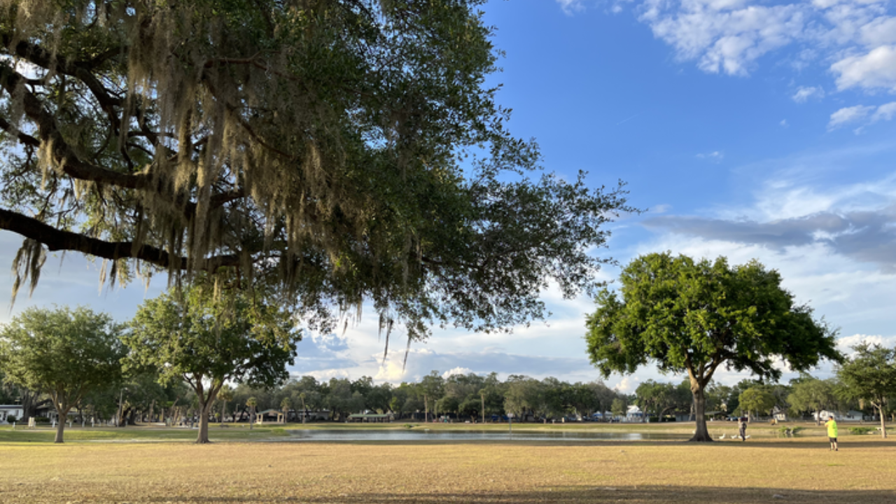 Zephyrhills wants to renovate its landmark park, but not everyone's on board