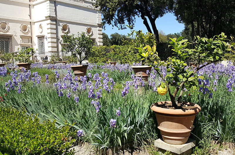 Rome in April – Weather, Holidays & Things to Do