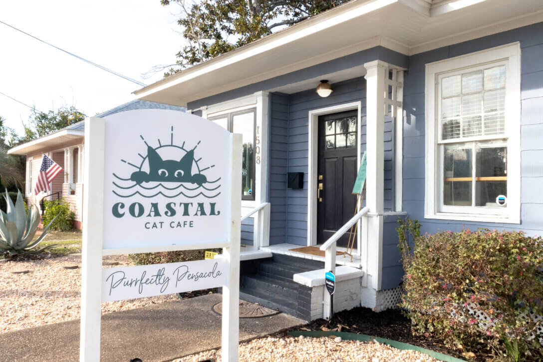 Coastal Cat Cafe Brings ‘Cool-Cat’ Vibe to Pensacola