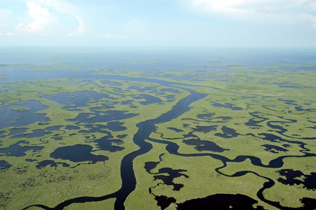 Everglades Central to Florida’s Clean Water Economy