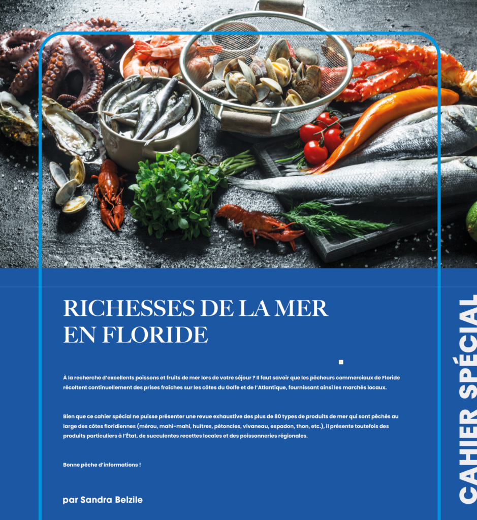 RICHESSES DE LA MER EN FLORIDE