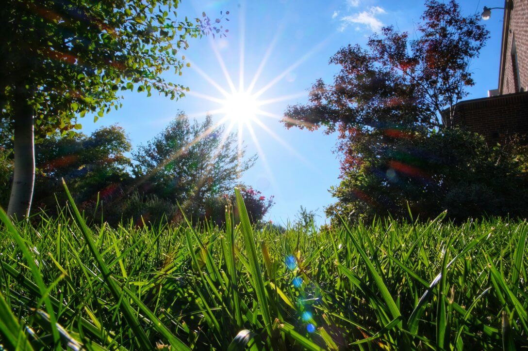 Tips for a Lavishly Lush Lawn