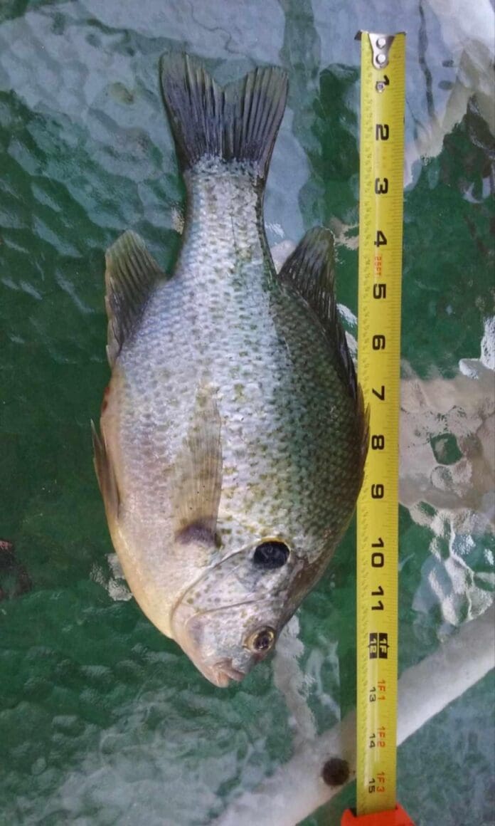 Hidden gem for anglers in Jackson County