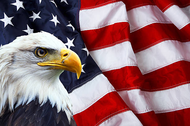 A Christian Perspective on Today’s Political Climate: Expert Opinions and Insights