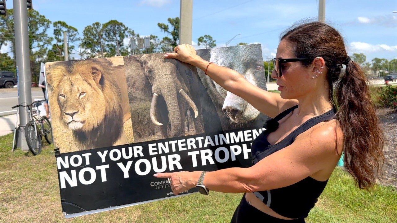 ‘Stop the Hunt’: Protesters push back against proposed Florida black bear hunt