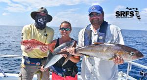 FWC marks 5 years of State Reef Fish Survey