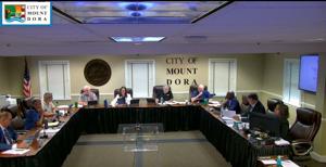 AMCO Development receives thumbs up from Mount Dora City Council