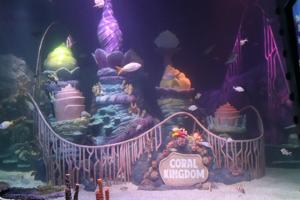 Merlin Entertainments' SEA LIFE Florida makes a splash with Grand Opening inside LEGOLAND® Florida Resort  SEA LIFE Florida marks LEGOLAND Fl