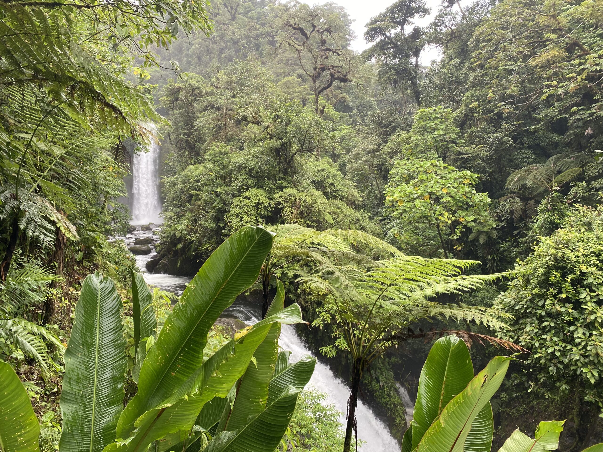 Op-Ed: An Internship Abroad: Costa Rica and Cooperatives