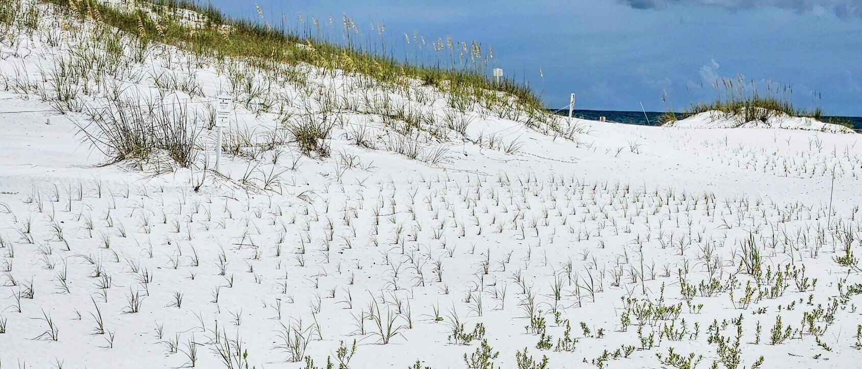 Safeguarding Our Coast