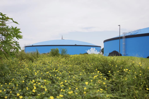 St. Pete Beach faces wastewater crisis