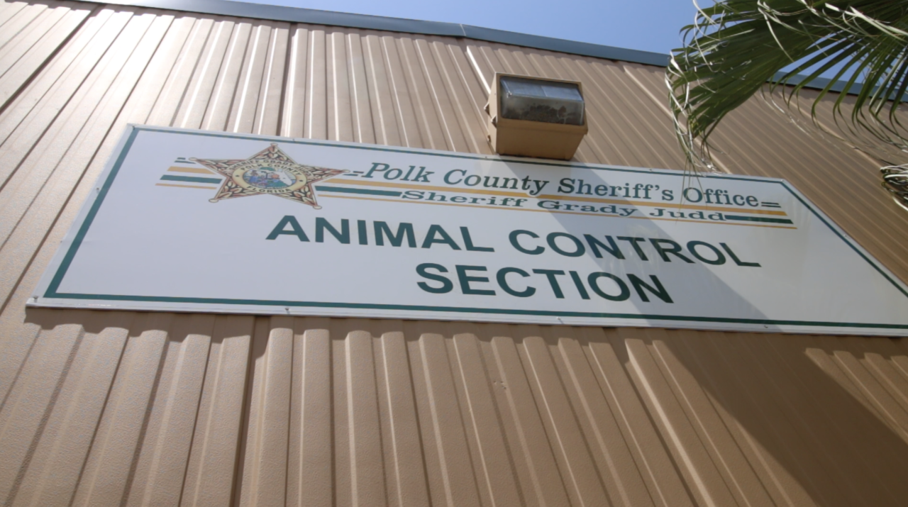Angered by report about Polk County shelter, animal lovers start email campaign