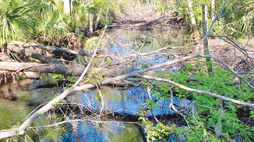 Protecting Taylor’s coastline and adding recreational opportunities