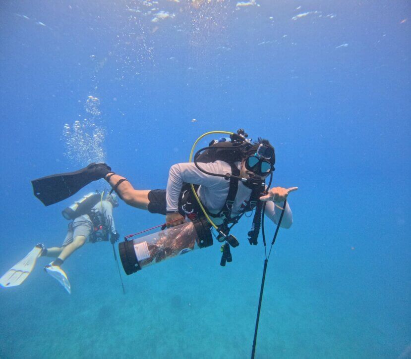 Taking Back the Reef